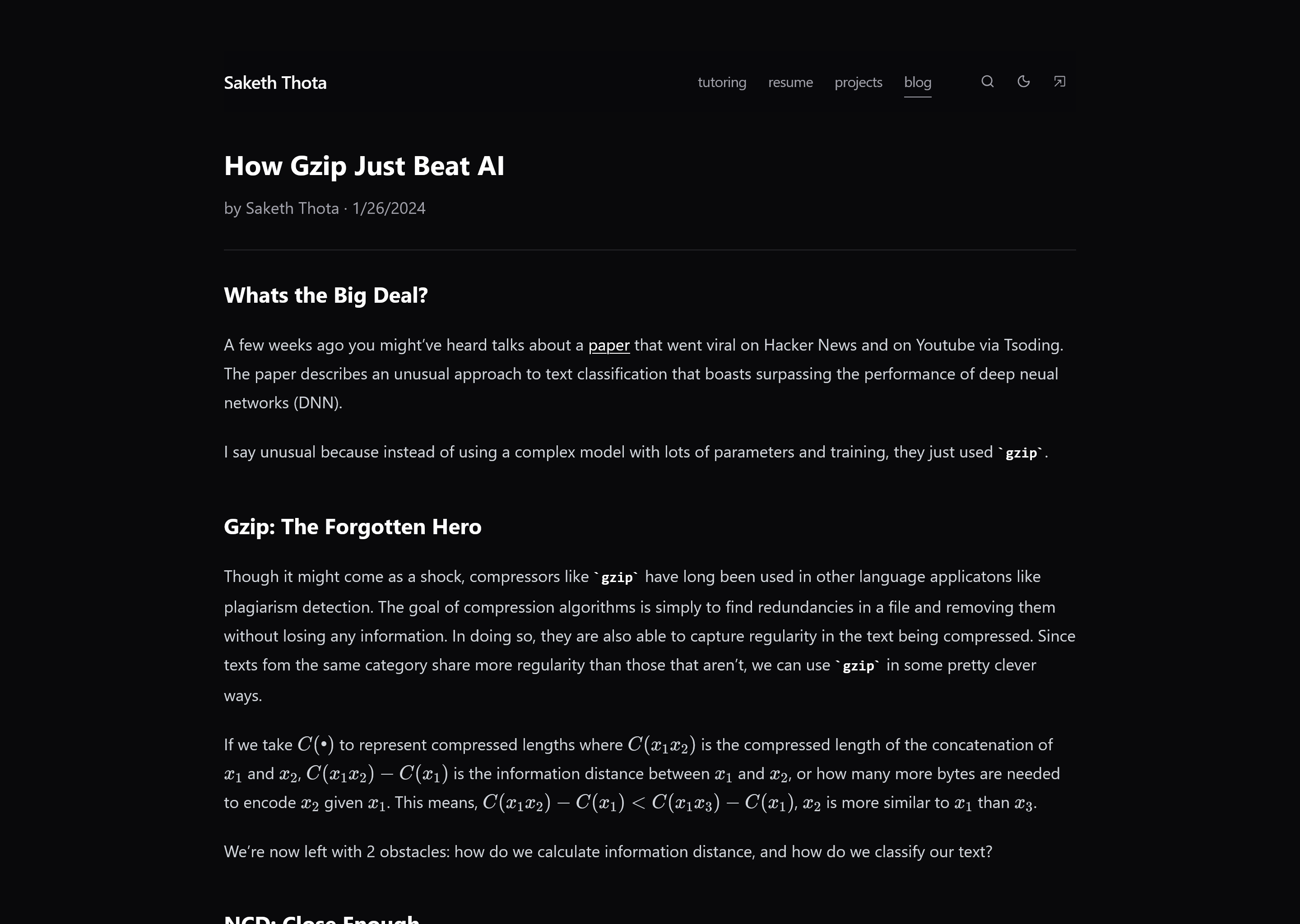 Portfolio screenshot 2